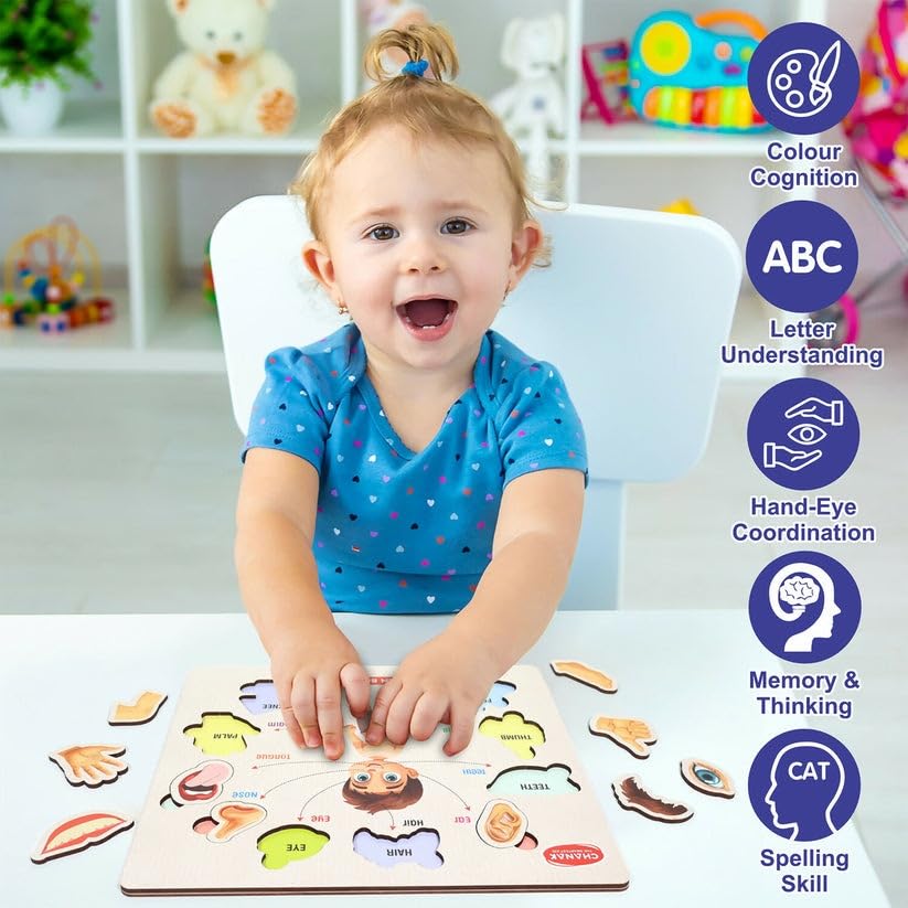 Wooden Human Body Parts Puzzle for Kids | Montessori Educational Anatomy Toy | Learning Board for Toddlers & Preschoolers | Wooden Puzzle with Organs | Early Learning Toy (Big Size)