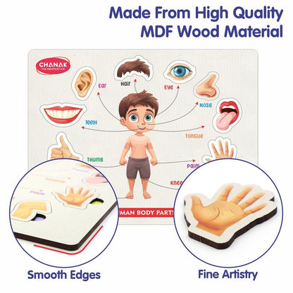 Wooden Human Body Parts Puzzle for Kids | Montessori Educational Anatomy Toy | Learning Board for Toddlers & Preschoolers | Wooden Puzzle with Organs | Early Learning Toy (Big Size)