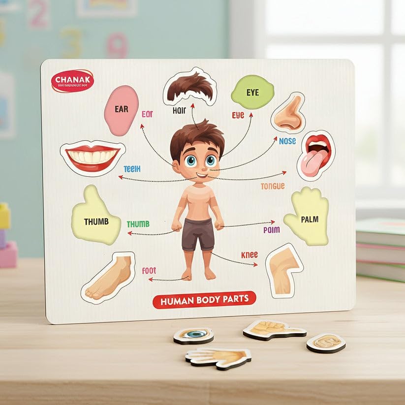Wooden Human Body Parts Puzzle for Kids | Montessori Educational Anatomy Toy | Learning Board for Toddlers & Preschoolers | Wooden Puzzle with Organs | Early Learning Toy (Big Size)
