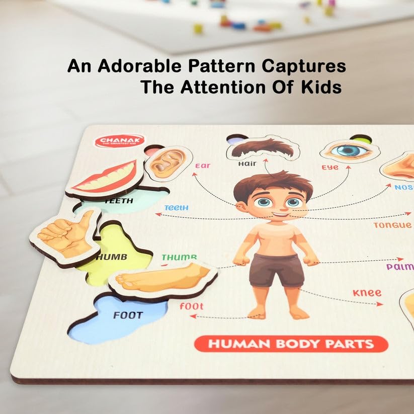Wooden Human Body Parts Puzzle for Kids | Montessori Educational Anatomy Toy | Learning Board for Toddlers & Preschoolers | Wooden Puzzle with Organs | Early Learning Toy (Big Size)